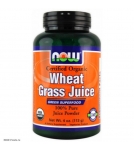 NOW Wheat Grass Juice - Сухой сок из ростков пшеницы (порошок) - БАД